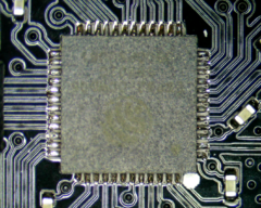 Image of a healthy lolin with clean circuitry